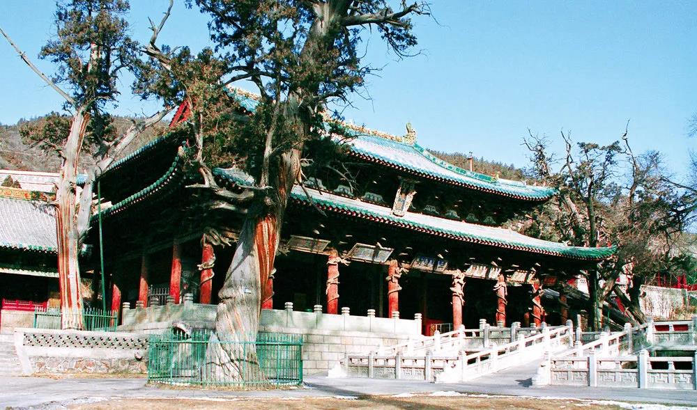 微信图片_20210406103115.jpg