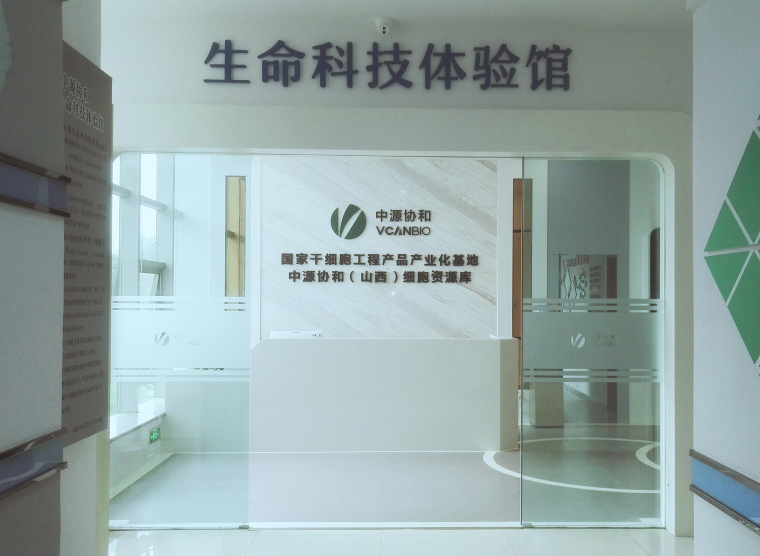 干细胞基因工程.jpg