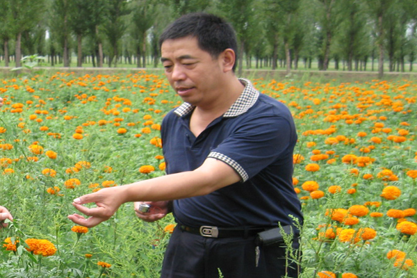 方果在田间调查草地螟.jpg